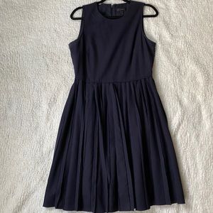 JCrew pleated skirt dress